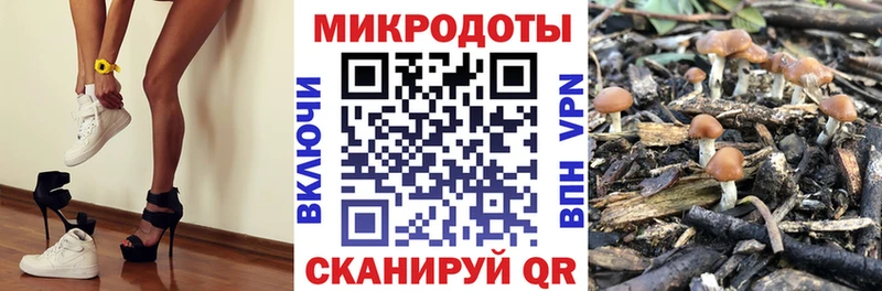 Псилоцибиновые грибы GOLDEN TEACHER  как найти закладки  hydra рабочий сайт  Онега 