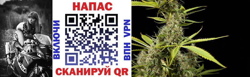 Бошки Шишки индика  Онега 